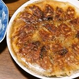 節約・羽根つきもやし餃子